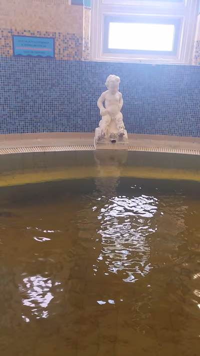Árpád Spa and swimming pool — photo 11