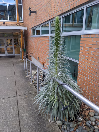 Oak Bay Recreation Centre — photo 13