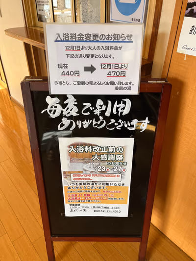 湯元ホテル山水 美肌の湯 — photo 14