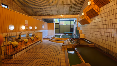 Gozenyu — photo 11
