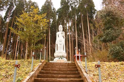 & Koshikano Hot Spring — photo 22
