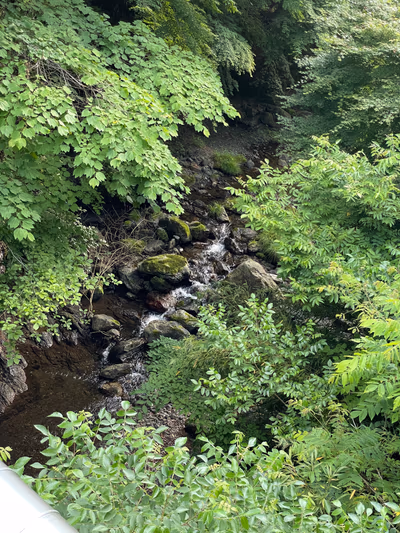 Mangan Hot Spring — photo 25