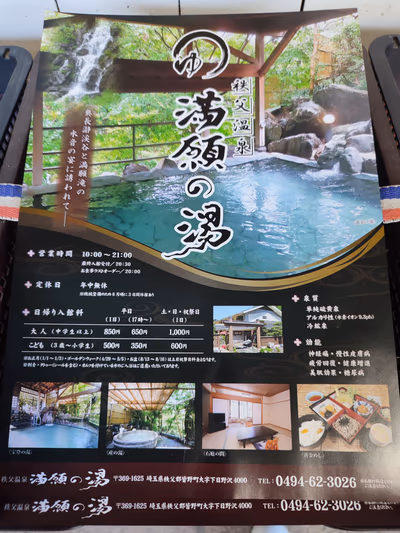Mangan Hot Spring — photo 27