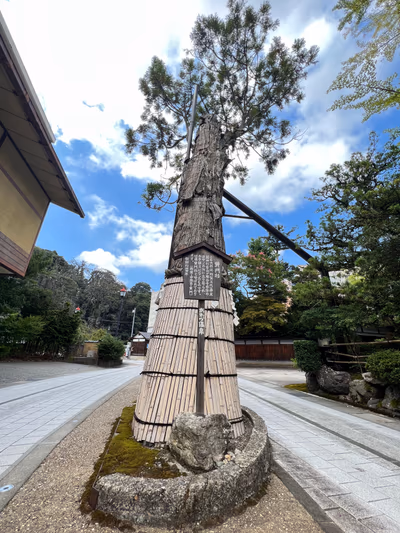 Awazu Onsen — photo 05