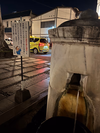 Sakura — photo 11