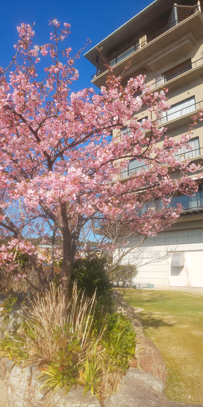 Awaji Yumesenkei — photo 18