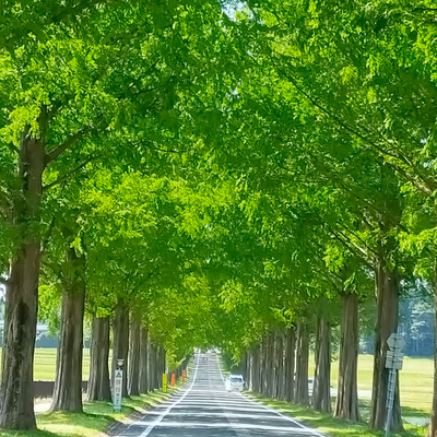 花の湯温泉 — photo 03