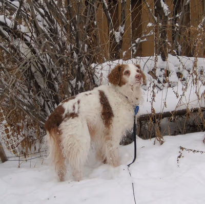 Setri Nordic Spa — photo 05