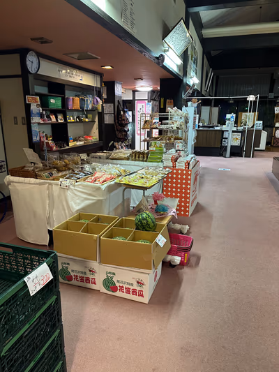 Den Den Mikawa — photo 19