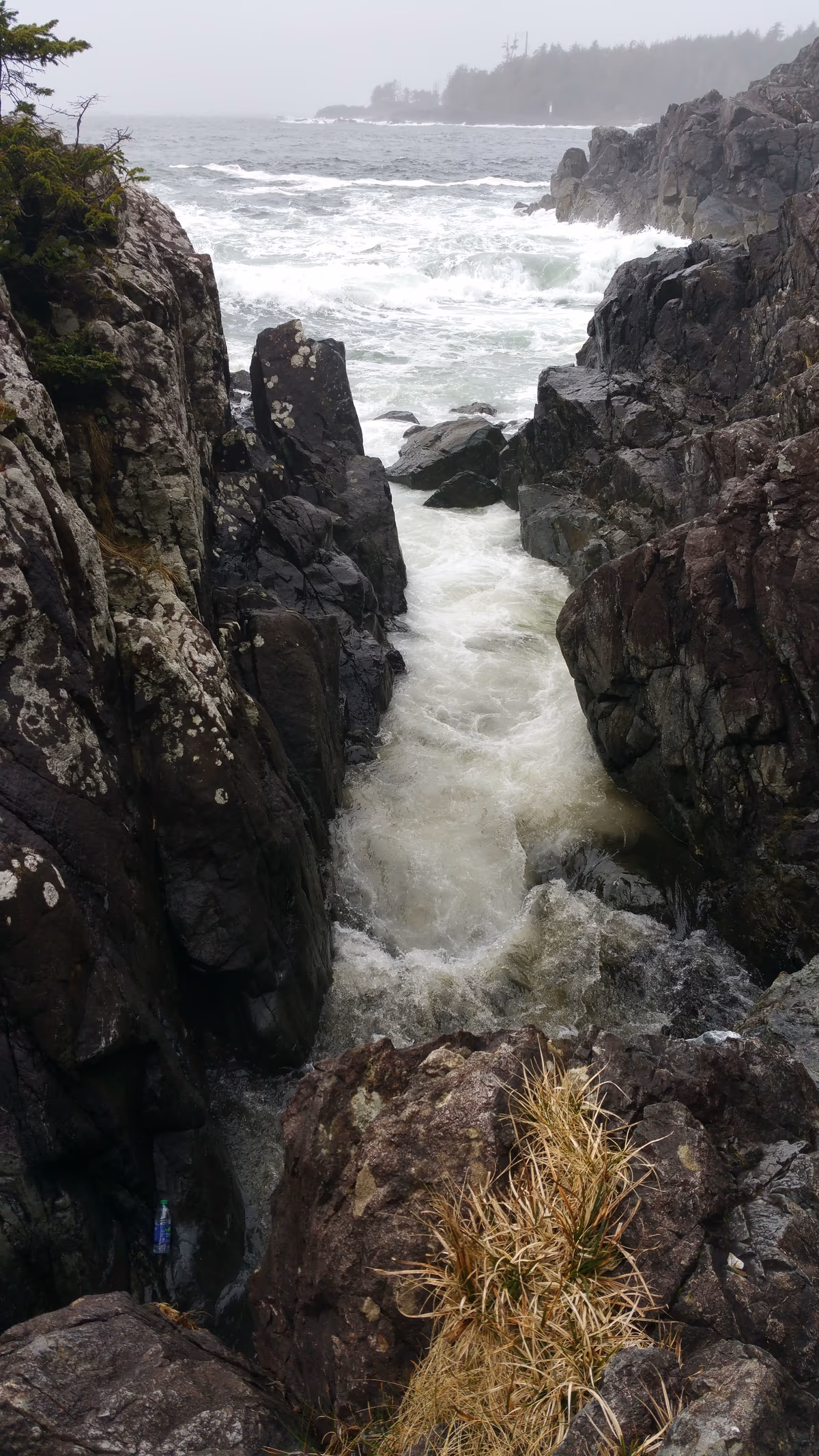 Hot Springs Cove