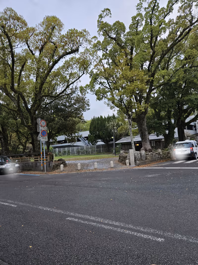Sansuien — photo 31