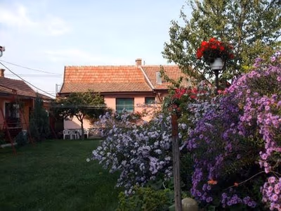 Jászberény — photo 03