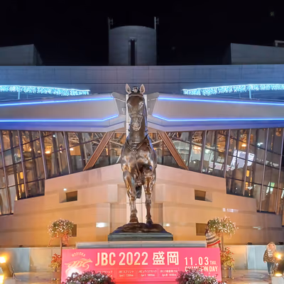 Odoroka Onsen Amanoyu — photo 11