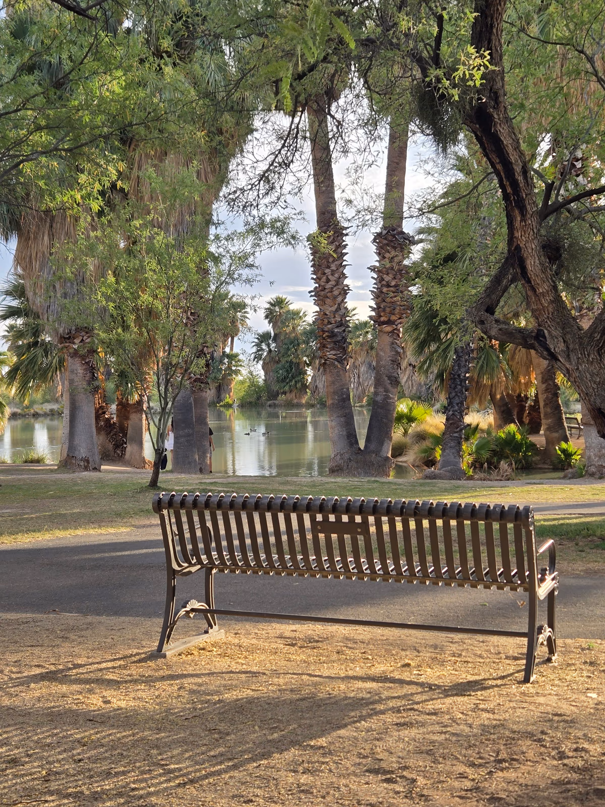 Agua Caliente Regional Park