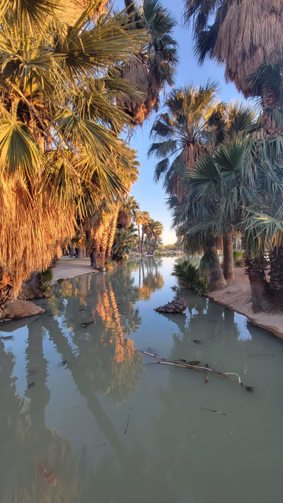 Agua Caliente Regional Park — photo 28