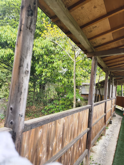Beppu Onsen Hoyoland — photo 14