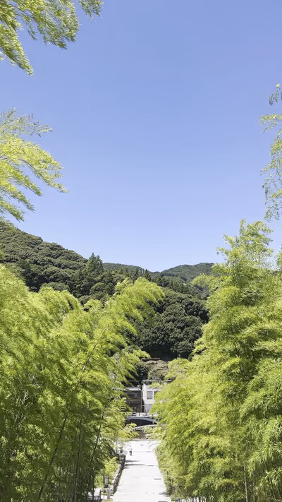 SOIL Nagatoyumoto — photo 13