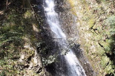 Yadori Onsen Iyashinoyu — photo 03
