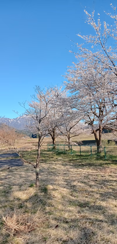 Bijin no yu — photo 03