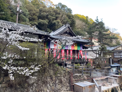 Watarase Onsen Hotel Sasayuri — photo 19