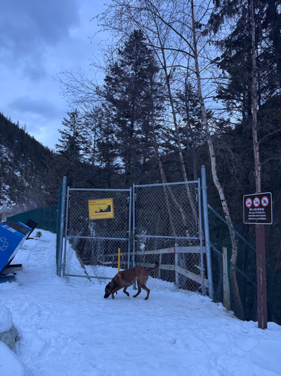 Lussier Hot Springs — photo 14