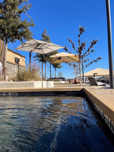 WorldSprings — photo 26
