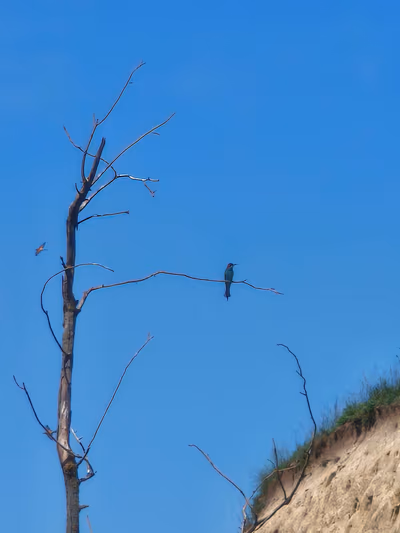 Albertirsai gyurgyalagos ( csoda telep ) — photo 13