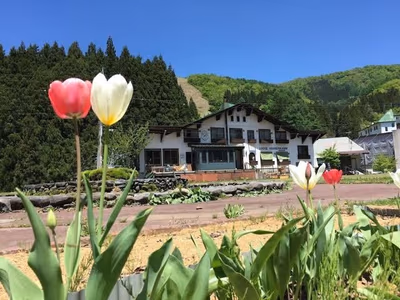 鷹羽鉱泉 — photo 15