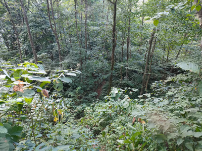 Okuhachikuro Hot Spring — photo 15