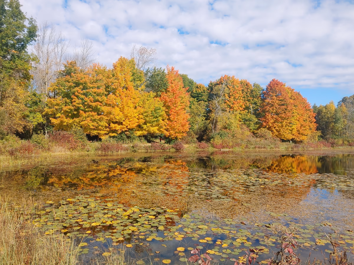 Mac Johnson Wildlife Area