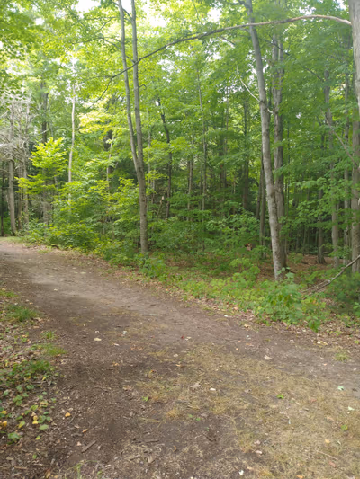 Mac Johnson Wildlife Area — photo 12