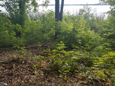 Mac Johnson Wildlife Area — photo 13