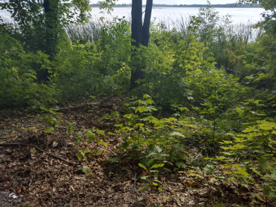 Mac Johnson Wildlife Area — photo 14