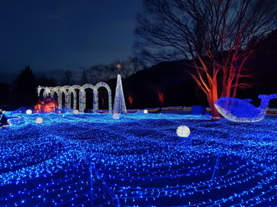 Rurikei Onsen — photo 08