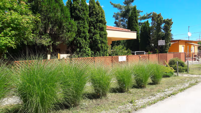 Balneo Hotel Zsori Thermal & Wellness — photo 16