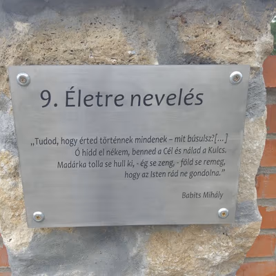 Hársas tó — photo 09
