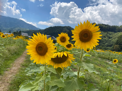 Himawari Hot Spring — photo 14