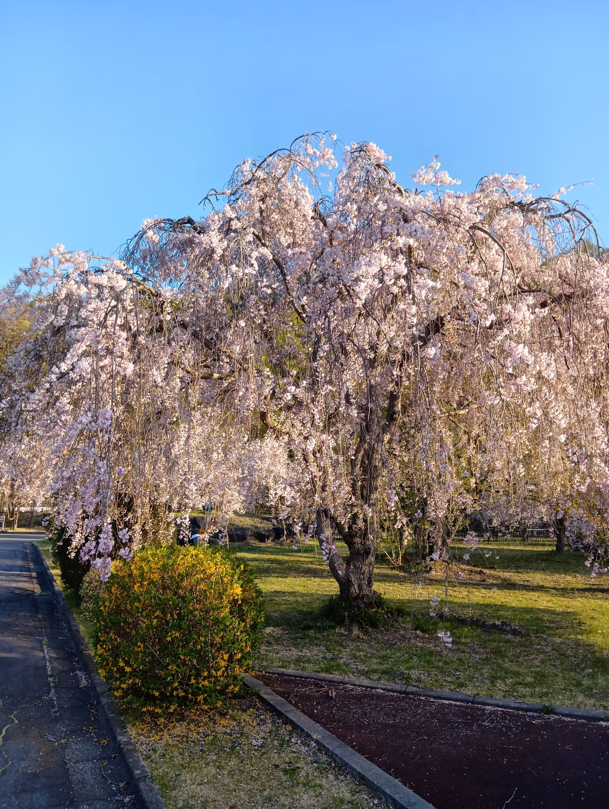 Nunobiki Onsen Komoro