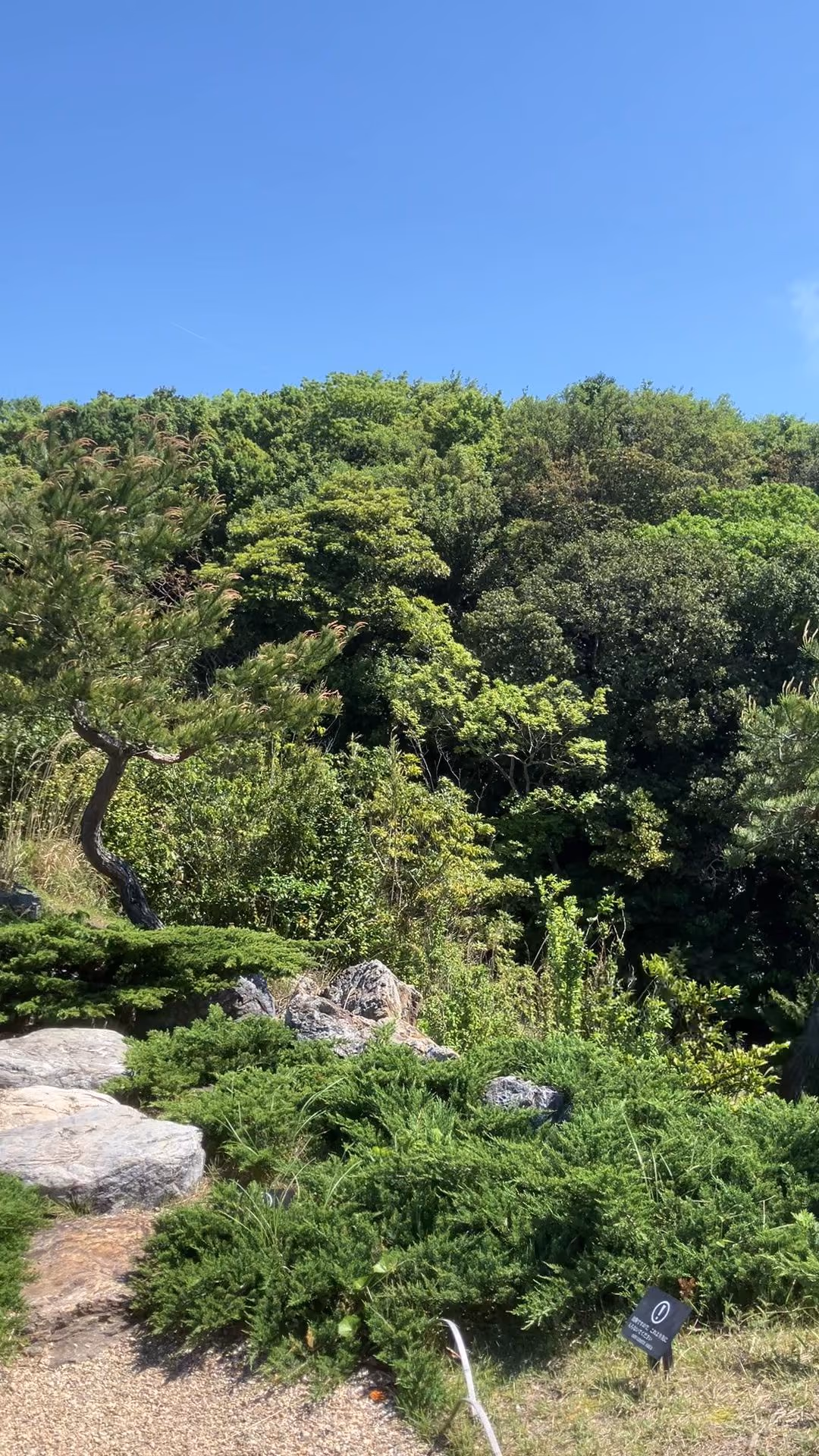 天海の湯