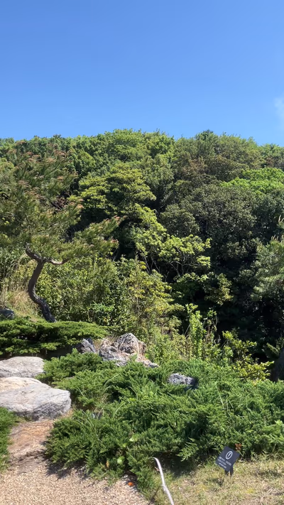 天海の湯 — photo 12