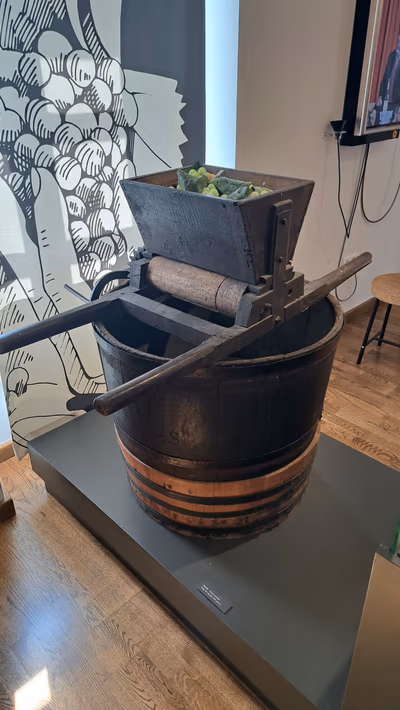 World Heritage Wine Museum — photo 22