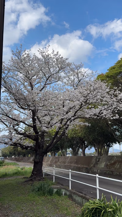 Hamada onsen — photo 02