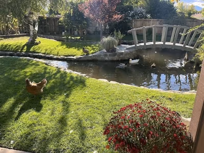 Keough's Hot Springs — photo 07