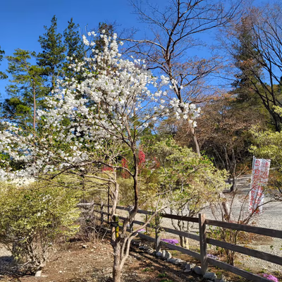 弓乃湯 — photo 09