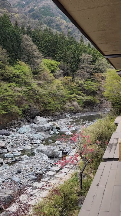 Nishiyama Onsen Keiunkan — photo 04