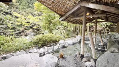 Nishiyama Onsen Keiunkan — photo 06