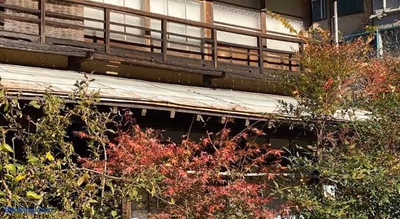 Nishiyama Onsen Keiunkan — photo 11
