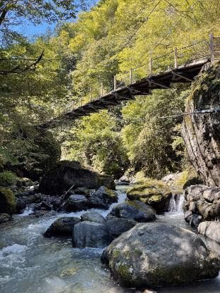 Nishiyama Onsen Keiunkan — photo 13