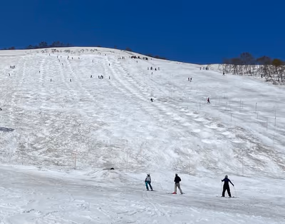 ARAI SNOW RESORT — photo 19