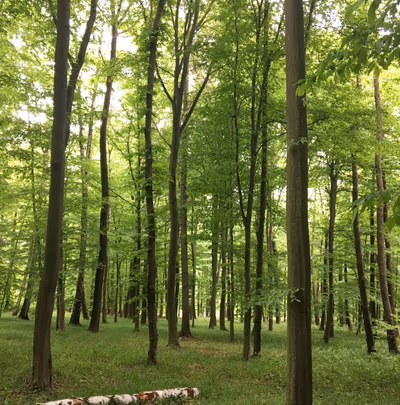 RQ Vízi Élménypark és Gyógyfürdő — photo 07